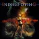 INDIGO DYING - Indigo Dying