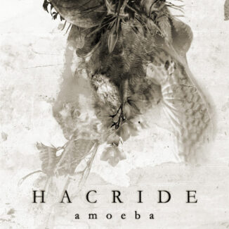 HACRIDE - Amoeba