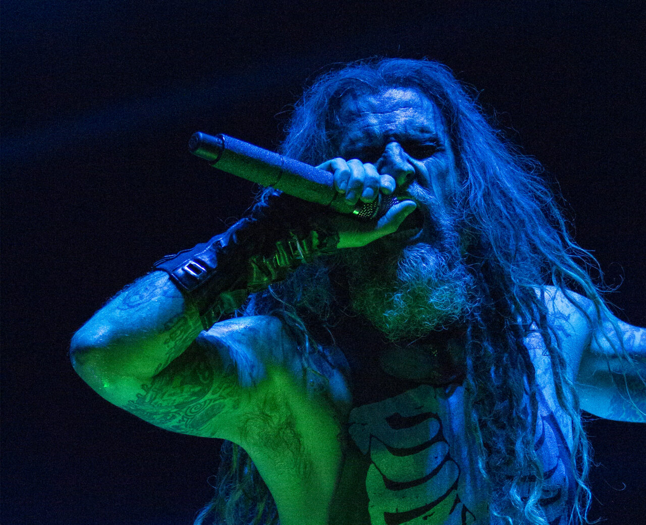 Rob zombie live. Роб зомби и Джигурда.