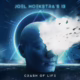 JOEL HOEKSTRA'S 13 - Crash of Life cover art
