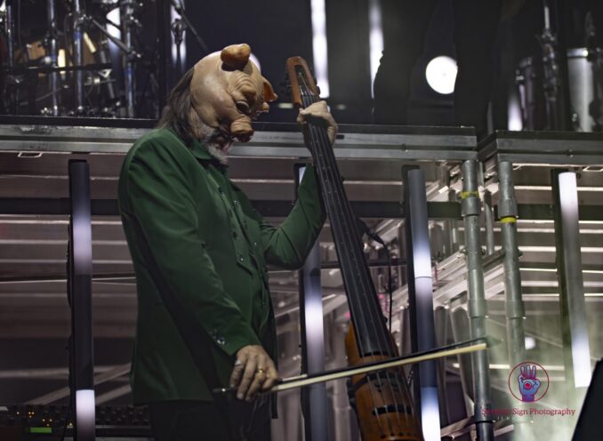 Man with a mask playing a standup bass.